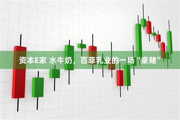 资本E家 水牛奶，百菲乳业的一场“豪赌”