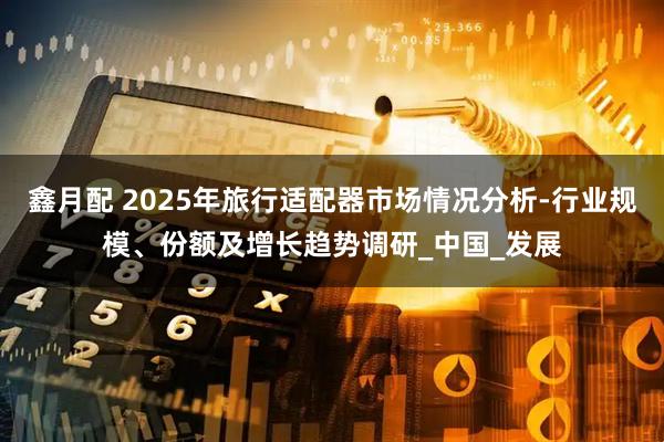 鑫月配 2025年旅行适配器市场情况分析-行业规模、份额及增长趋势调研_中国_发展