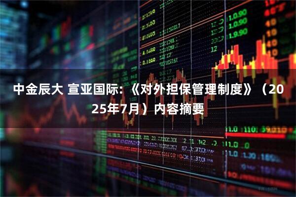 中金辰大 宣亚国际: 《对外担保管理制度》（2025年7月）内容摘要