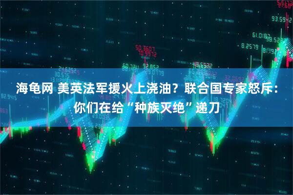 海龟网 美英法军援火上浇油？联合国专家怒斥：你们在给“种族灭绝”递刀