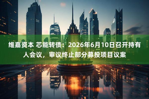 维嘉资本 芯能转债：2026年6月10日召开持有人会议，审议终止部分募投项目议案